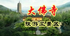 精品大胸乱操在线观看中国浙江-新昌大佛寺旅游风景区